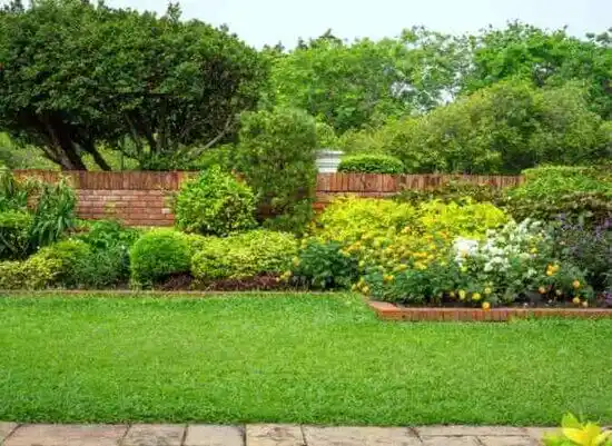 landscaping services Jacksonville